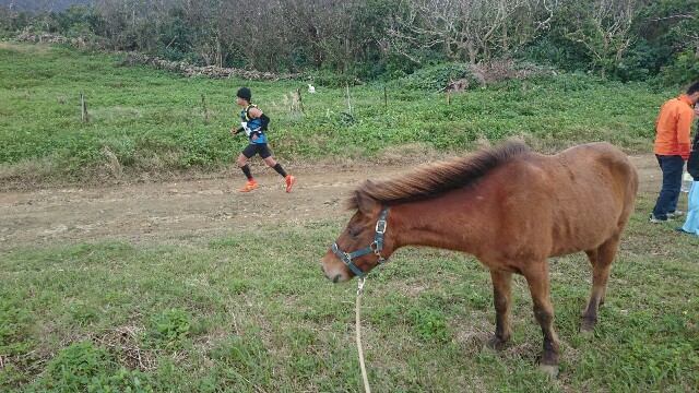 f:id:ishigakijimaumahiroba:20160207233905j:image f:id:ishigakijimaumahiroba:20160207233905j:image
