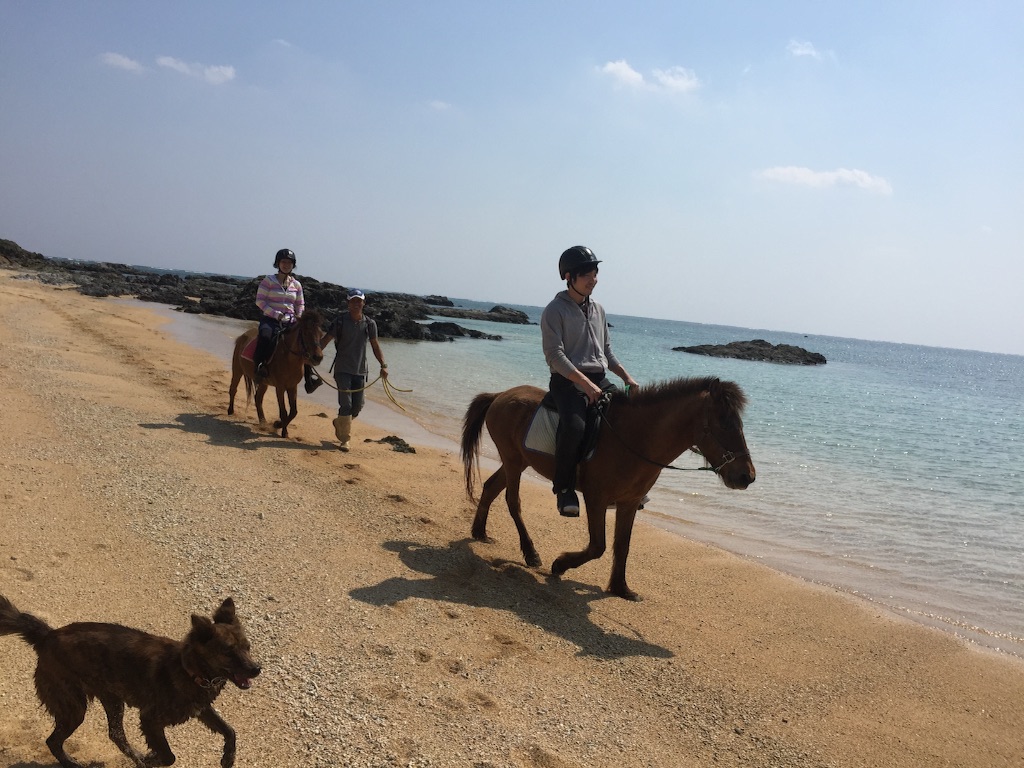 f:id:ishigakijimaumahiroba:20160328143710j:image f:id:ishigakijimaumahiroba:20160328143710j:image