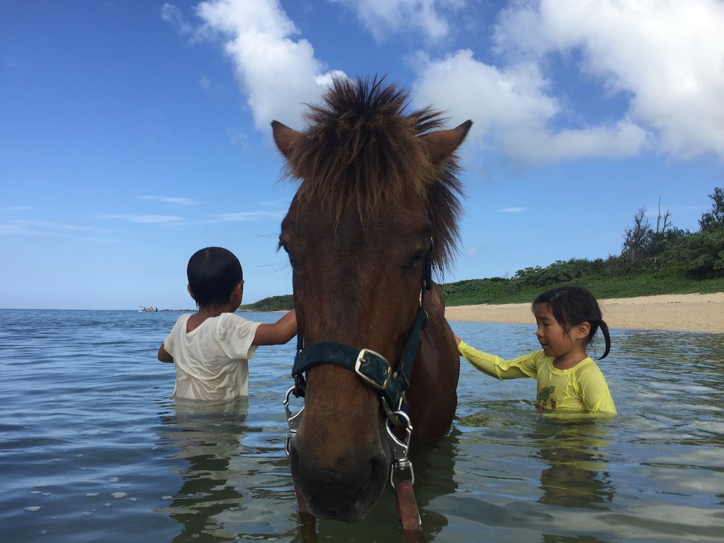 f:id:ishigakijimaumahiroba:20160517150516j:image f:id:ishigakijimaumahiroba:20160517150516j:image
