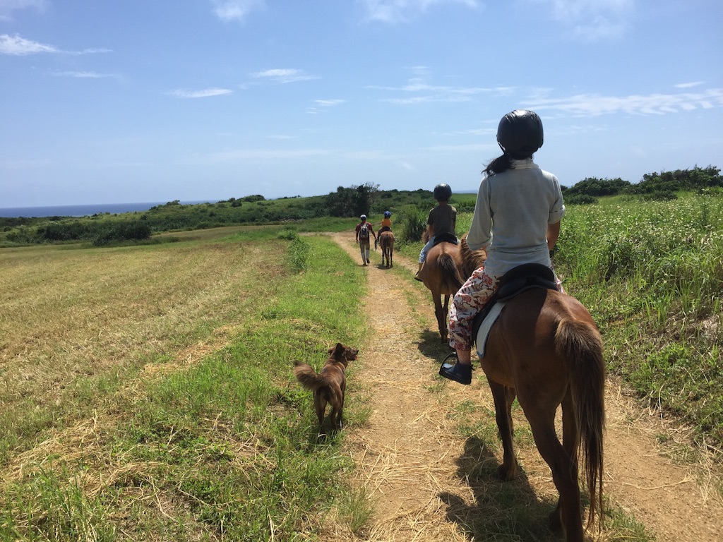 f:id:ishigakijimaumahiroba:20160517151018j:image f:id:ishigakijimaumahiroba:20160517151018j:image