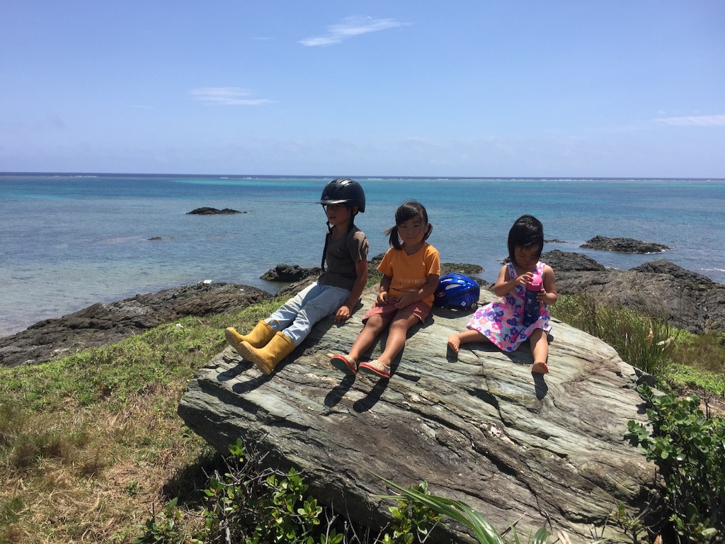 f:id:ishigakijimaumahiroba:20160517151334j:image f:id:ishigakijimaumahiroba:20160517151334j:image