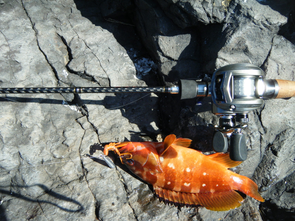 f:id:ishiguroito:20150728181806j:plain f:id:ishiguroito:20150728181806j:plain