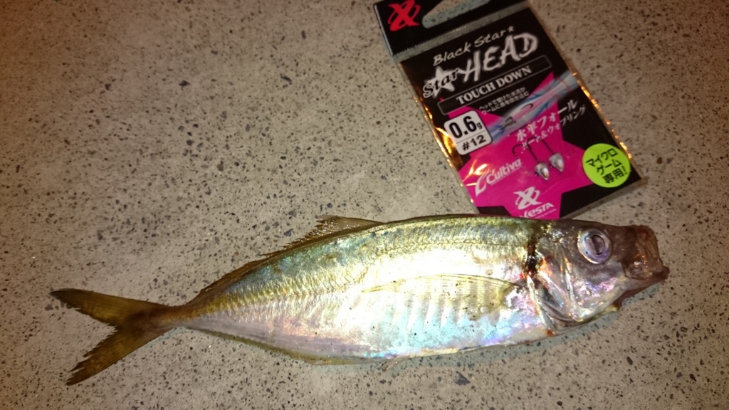 f:id:ishiguroito:20151027163017j:plain