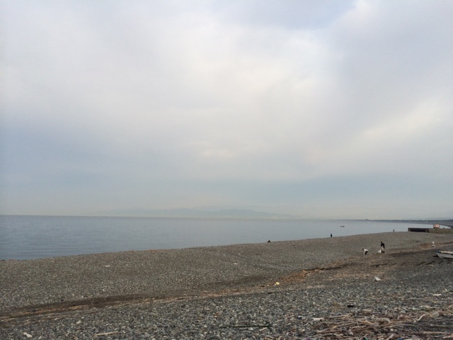 f:id:ishiguronumazu:20140428134459j:plain f:id:ishiguronumazu:20140428134459j:plain