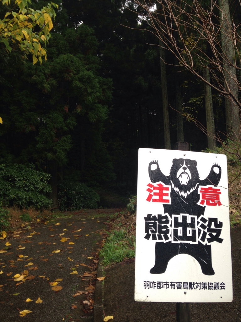 f:id:ishikitakai4jo:20151116211354j:plain f:id:ishikitakai4jo:20151116211354j:plain