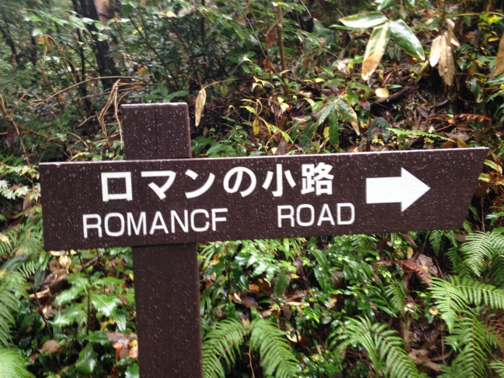 f:id:ishikitakai4jo:20151116211658j:plain f:id:ishikitakai4jo:20151116211658j:plain