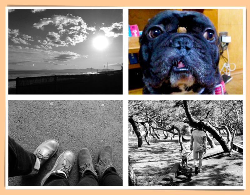 f:id:ishuko:20140531103941p:plain f:id:ishuko:20140531103941p:plain