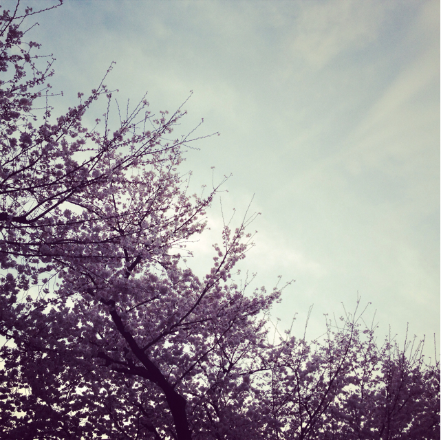 f:id:isinomaki:20130328062640j:plain f:id:isinomaki:20130328062640j:plain