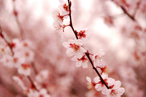 f:id:isinomaki:20140124223614j:plain f:id:isinomaki:20140124223614j:plain