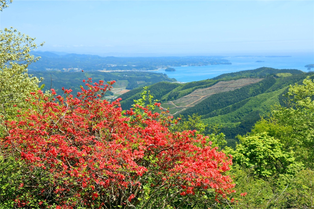f:id:islandernx:20160529201340j:image f:id:islandernx:20160529201340j:image