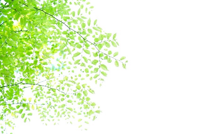 f:id:iso92:20151020100408j:image f:id:iso92:20151020100408j:image