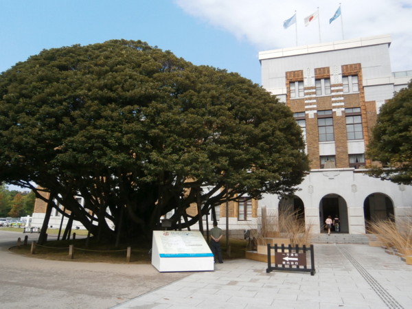 f:id:isshoku:20121007121037j:plain f:id:isshoku:20121007121037j:plain