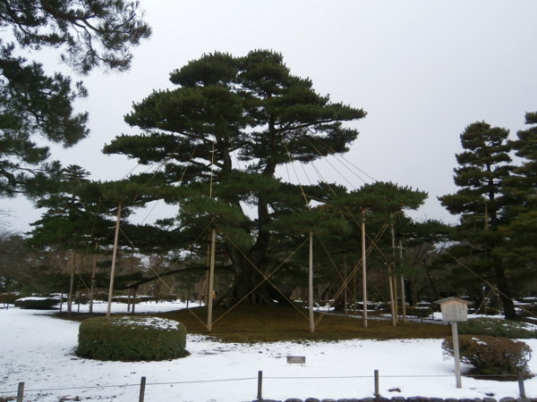f:id:isshoku:20121209122456j:plain f:id:isshoku:20121209122456j:plain