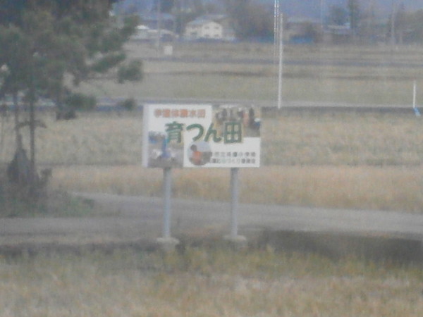 f:id:isshoku:20121215131013j:plain f:id:isshoku:20121215131013j:plain