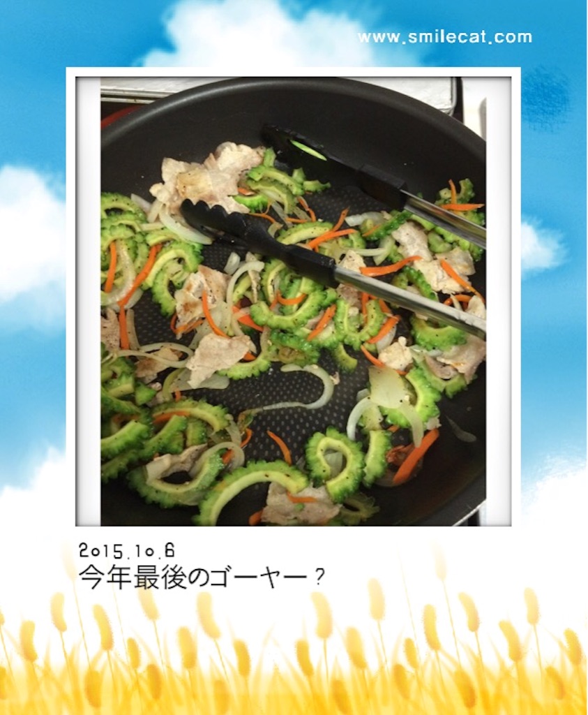 f:id:istj-t:20151006092436j:image f:id:istj-t:20151006092436j:image