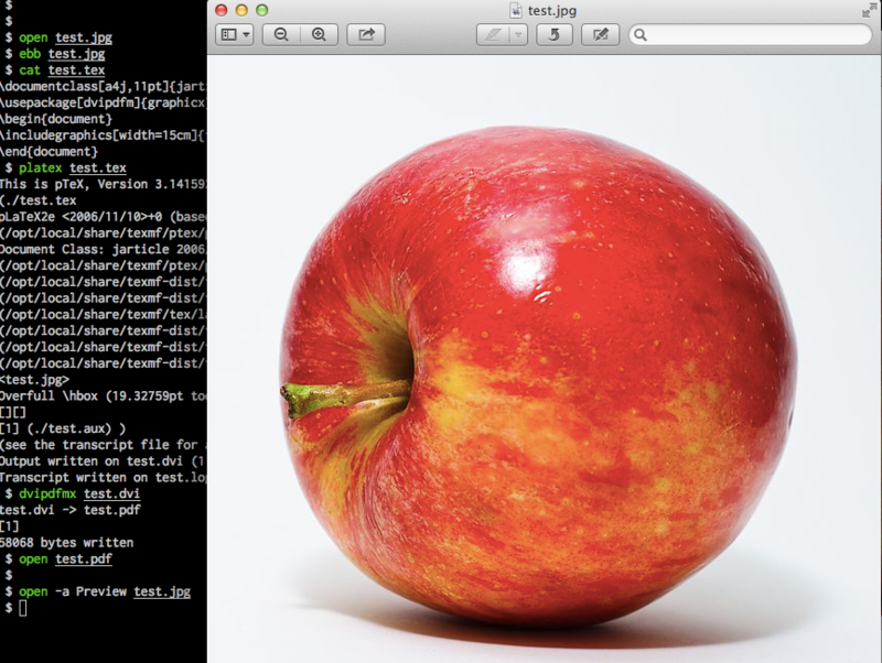 f:id:itchyny:20130704235215p:image
