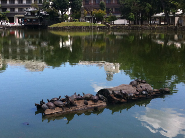 f:id:itifusa:20130827192905j:plain f:id:itifusa:20130827192905j:plain