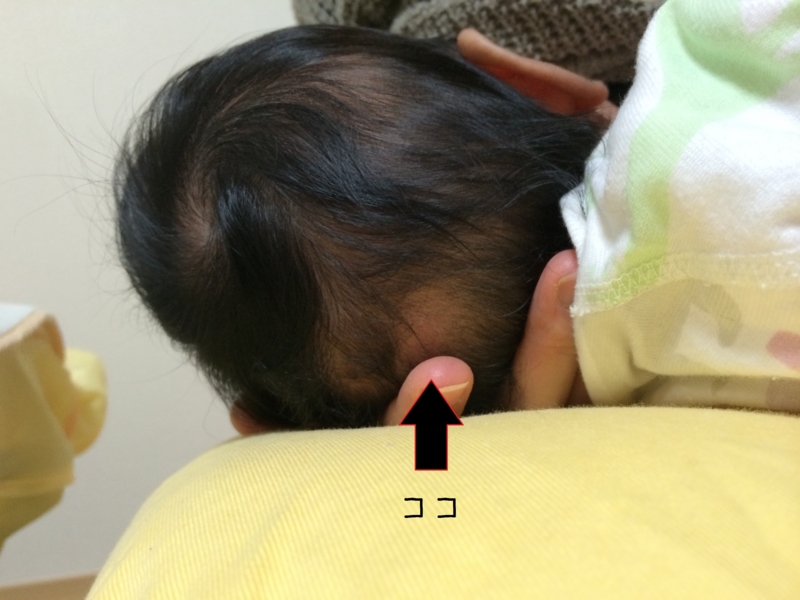 f:id:itousihousyoshi:20141224194224j:plain f:id:itousihousyoshi:20141224194224j:plain