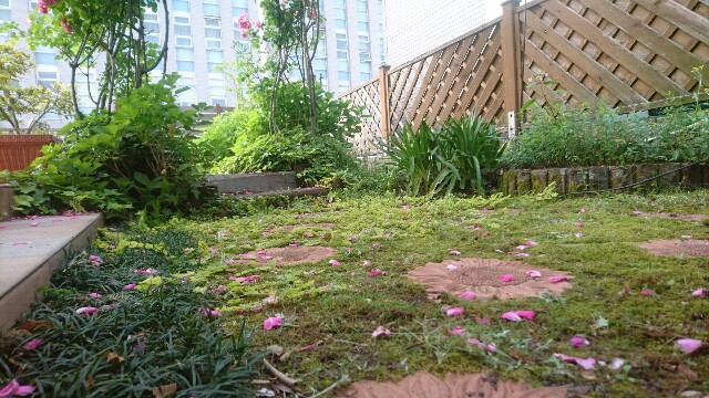 f:id:ivy2256m:20160530231351j:plain f:id:ivy2256m:20160530231351j:plain