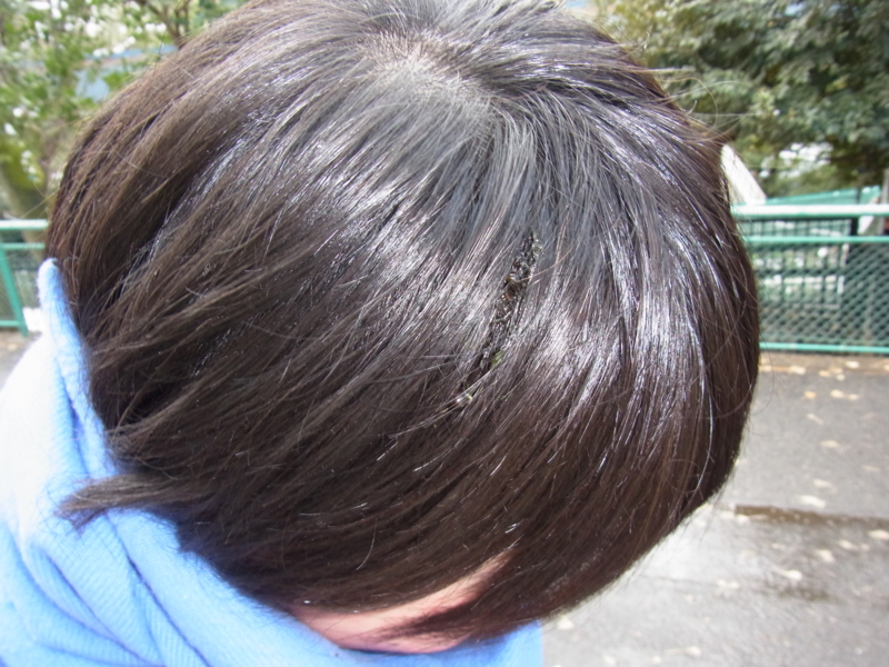 f:id:iwa-21071012:20120124131745j:plain f:id:iwa-21071012:20120124131745j:plain