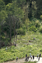 f:id:iwase_akihiko:20090511232429j:image