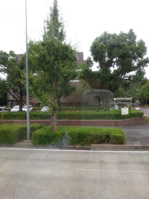 f:id:iwase_akihiko:20140919105251j:plain f:id:iwase_akihiko:20140919105251j:plain