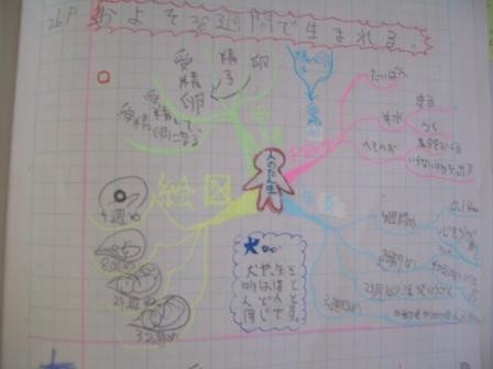 f:id:iwasen:20040102024908j:image f:id:iwasen:20040102024908j:image