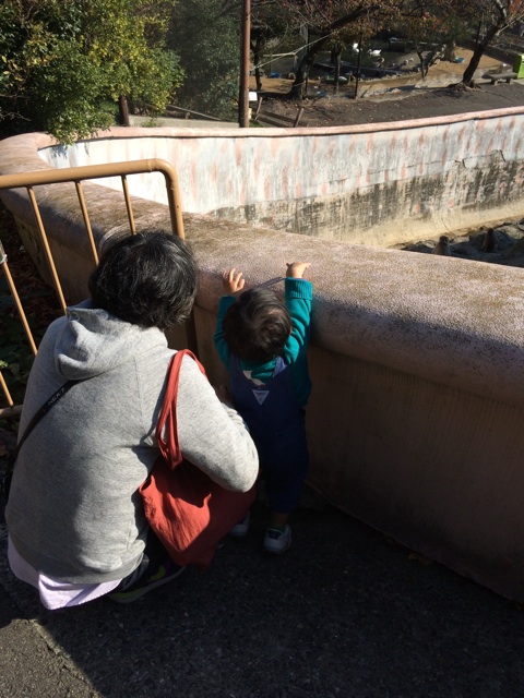 f:id:izufuku:20141123173108j:plain f:id:izufuku:20141123173108j:plain