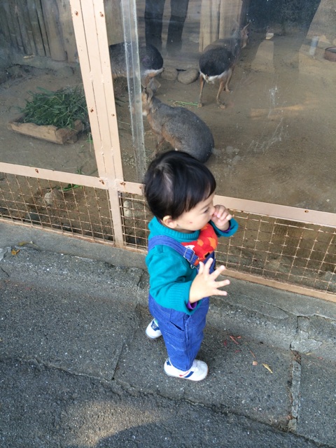 f:id:izufuku:20141123173120j:plain f:id:izufuku:20141123173120j:plain