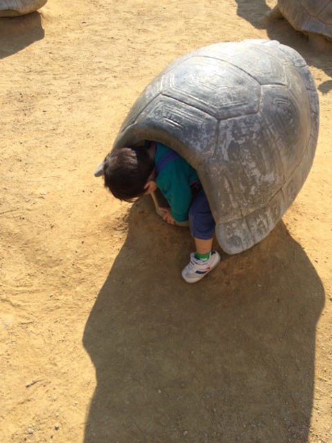 f:id:izufuku:20141123173305j:plain f:id:izufuku:20141123173305j:plain