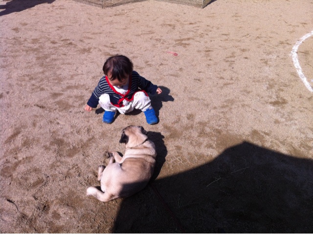 f:id:izufuku:20141203082114j:plain f:id:izufuku:20141203082114j:plain