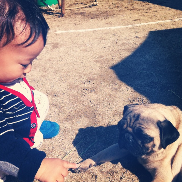 f:id:izufuku:20141203082201j:plain f:id:izufuku:20141203082201j:plain