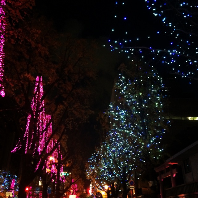 f:id:izufuku:20141206181626j:plain f:id:izufuku:20141206181626j:plain