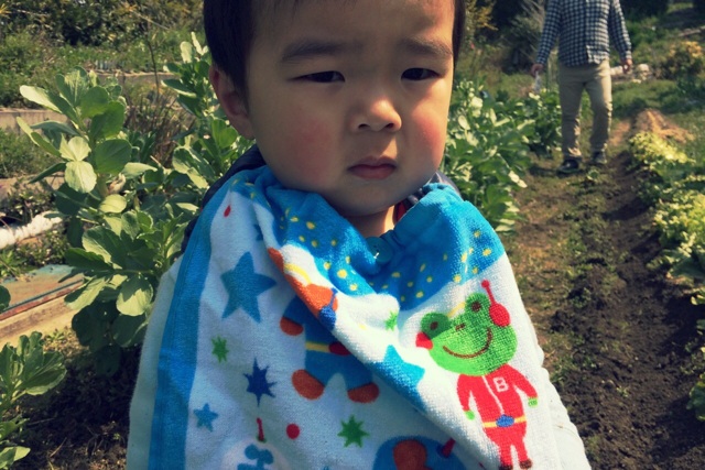 f:id:izufuku:20150326172114j:plain f:id:izufuku:20150326172114j:plain