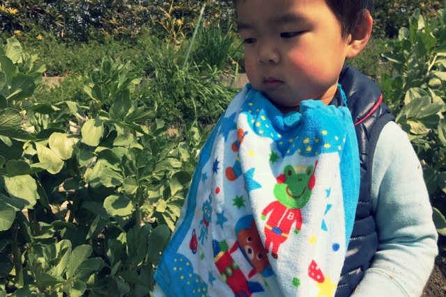 f:id:izufuku:20150326173517j:plain f:id:izufuku:20150326173517j:plain