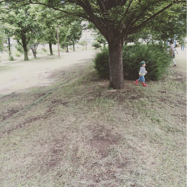 f:id:izufuku:20150608170752j:plain f:id:izufuku:20150608170752j:plain