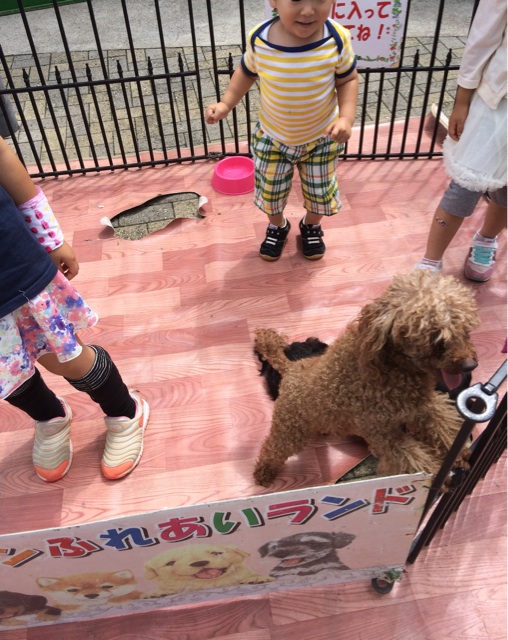 f:id:izufuku:20150630081717j:plain f:id:izufuku:20150630081717j:plain