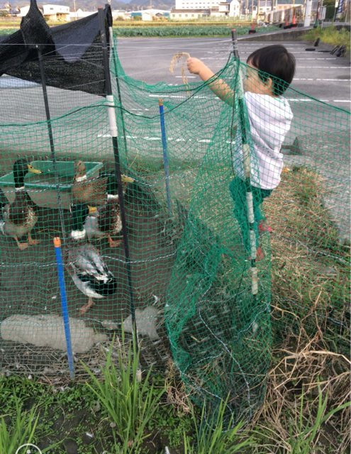 f:id:izufuku:20151013145414j:plain f:id:izufuku:20151013145414j:plain
