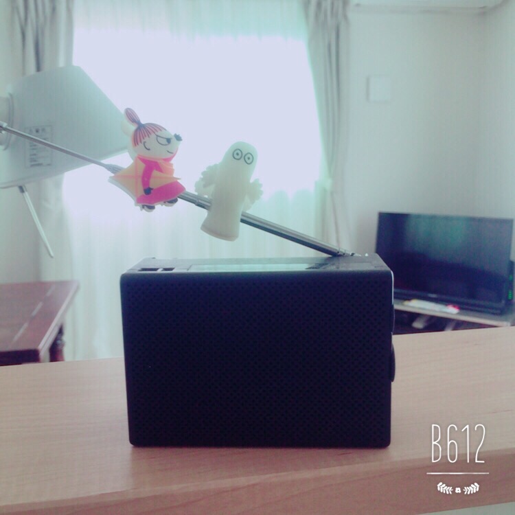f:id:izumitosora:20160521170256j:plain f:id:izumitosora:20160521170256j:plain