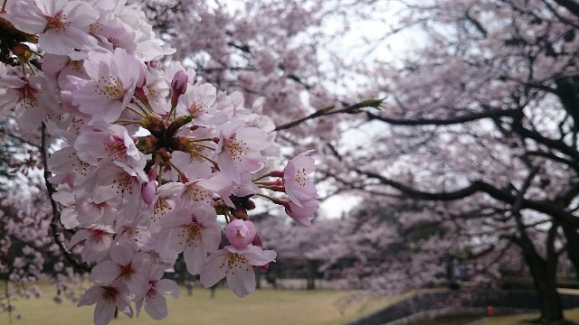 f:id:j16r-hir:20160403161944j:image f:id:j16r-hir:20160403161944j:image