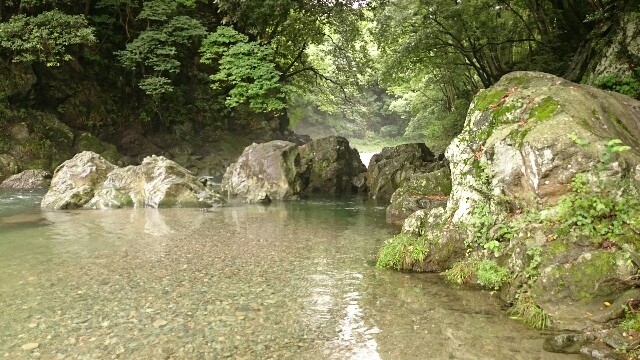 f:id:j50:20160527202428j:image f:id:j50:20160527202428j:image