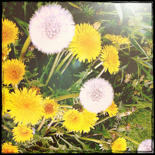 f:id:j50:20160527202858j:image f:id:j50:20160527202858j:image