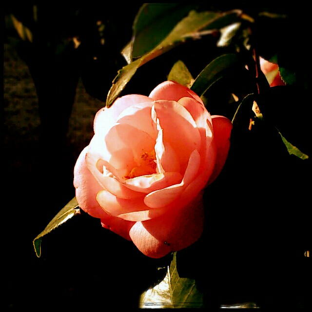 f:id:j50:20160717193810j:image f:id:j50:20160717193810j:image