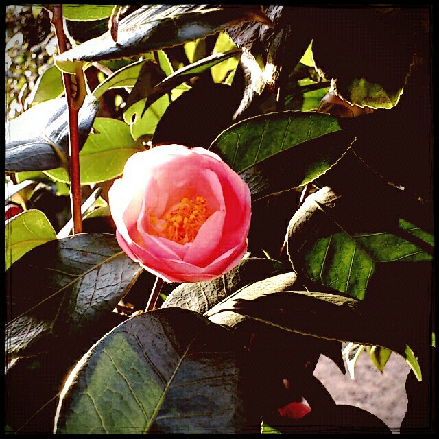 f:id:j50:20160717193924j:image f:id:j50:20160717193924j:image