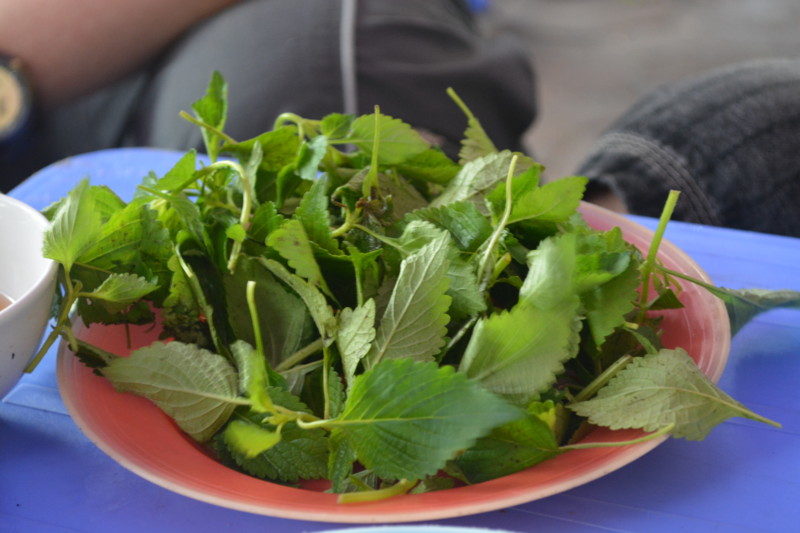 f:id:ja1tye:20130902144331j:image:w360