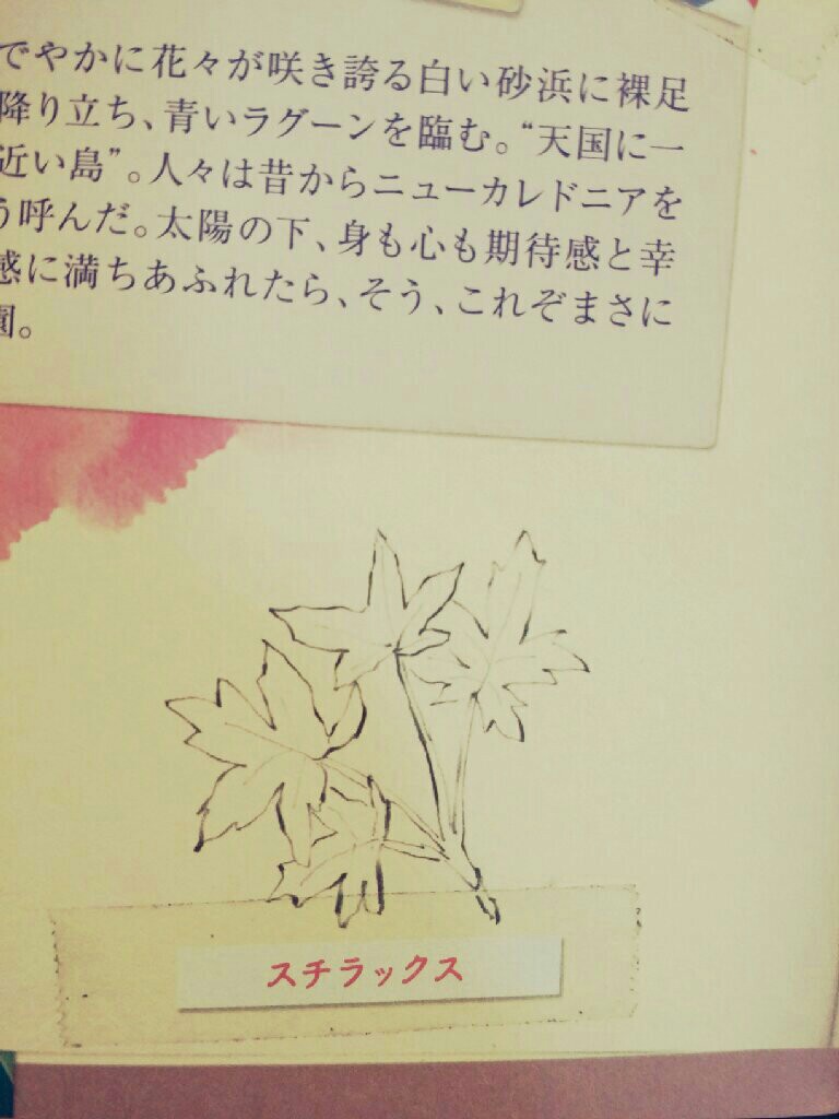 f:id:jacksonito32:20150904145233j:image f:id:jacksonito32:20150904145233j:image