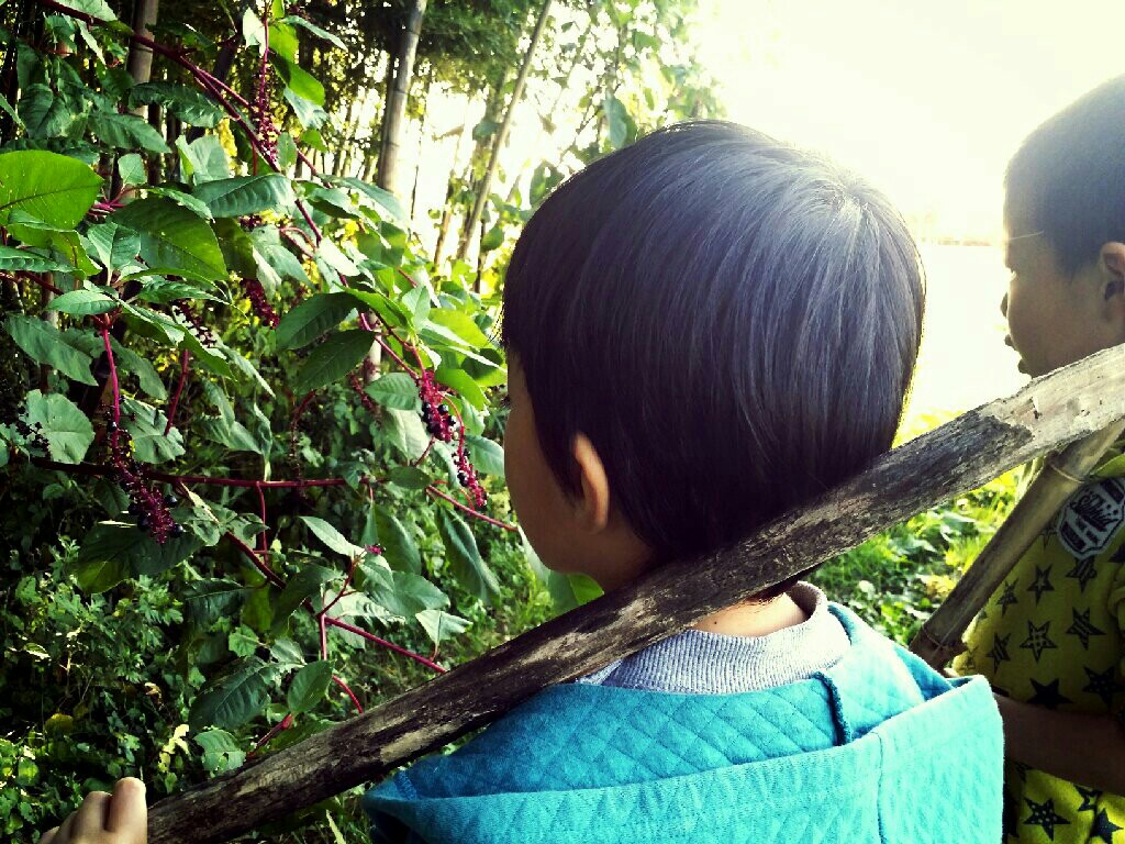 f:id:jacksonito32:20151019213556j:image f:id:jacksonito32:20151019213556j:image