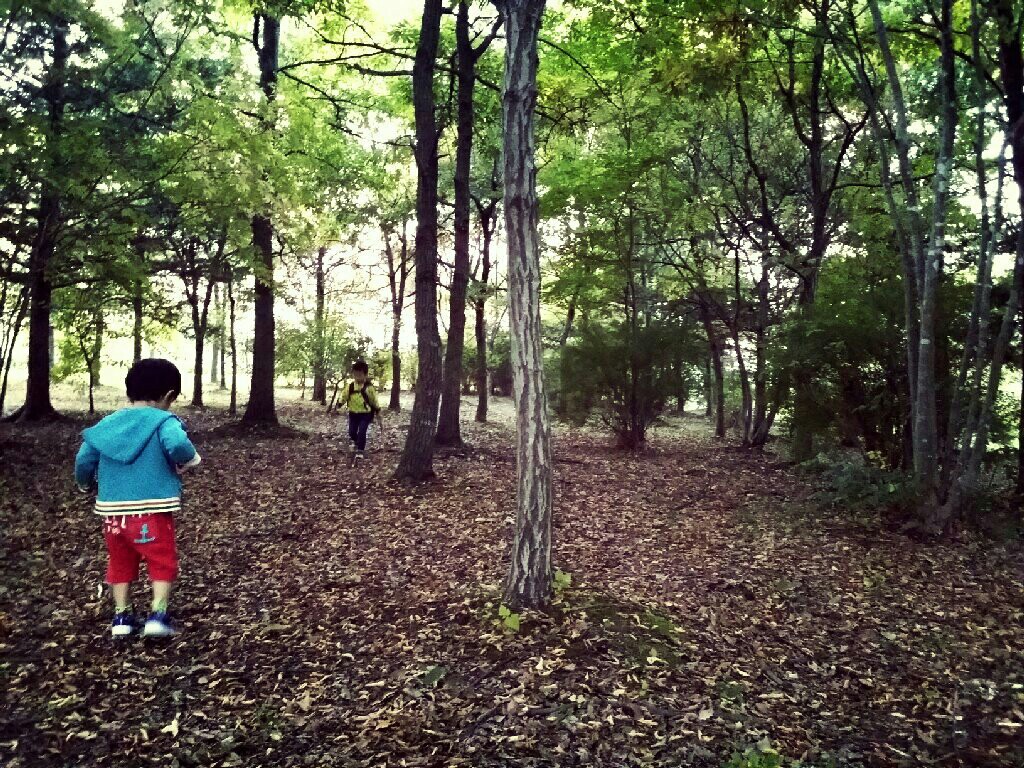 f:id:jacksonito32:20151019221231j:image f:id:jacksonito32:20151019221231j:image