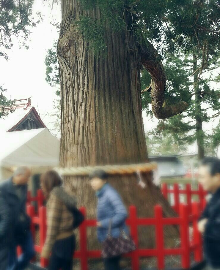 f:id:jacksonito32:20160104072922j:image f:id:jacksonito32:20160104072922j:image