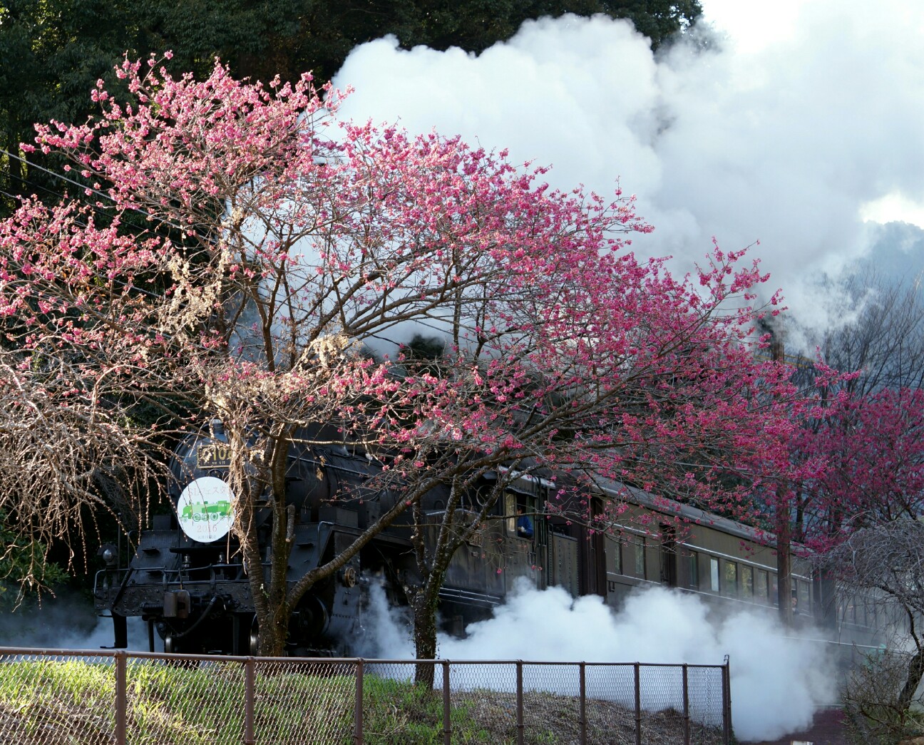f:id:jal787ksk:20160312200104j:image f:id:jal787ksk:20160312200104j:image